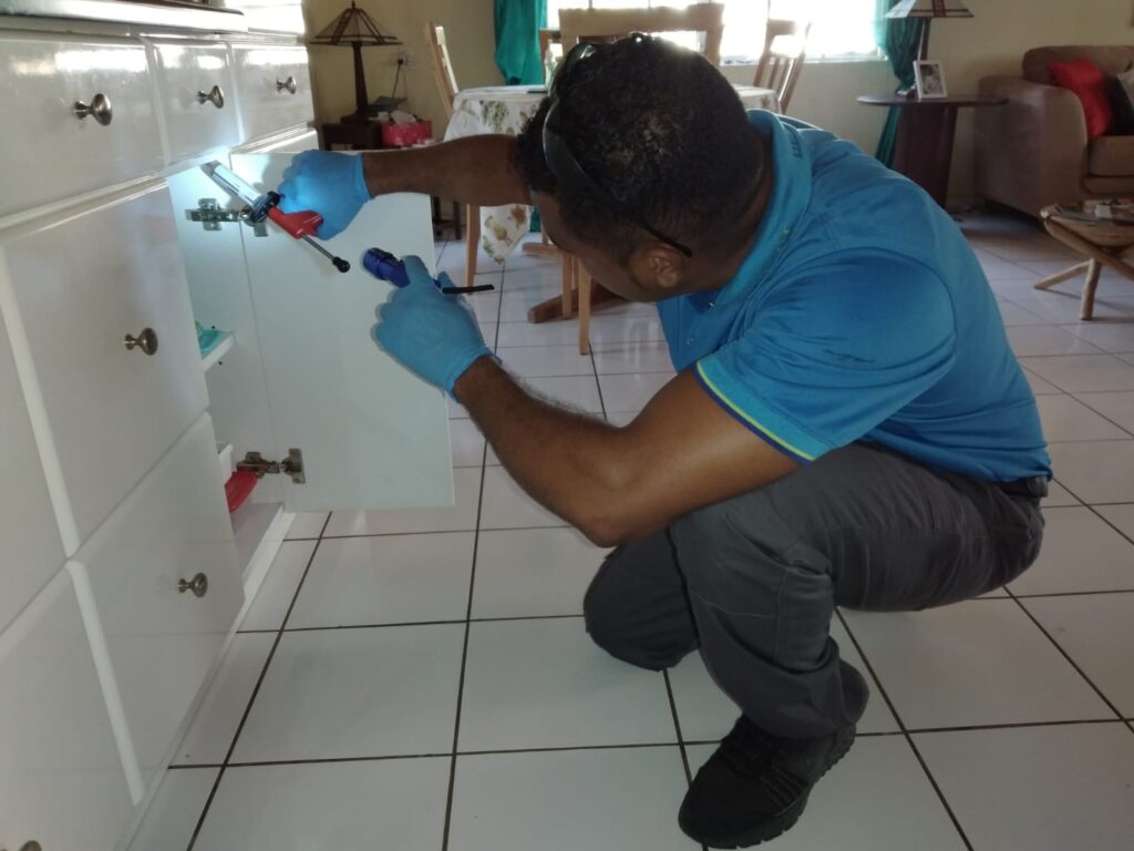 Detect Curacao – Termite & Pest Control Experts