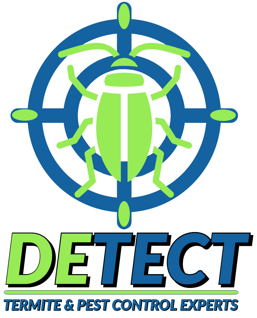 Detect Curacao – Termite & Pest Control Experts