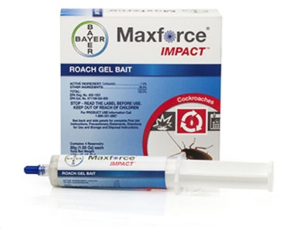detect termite