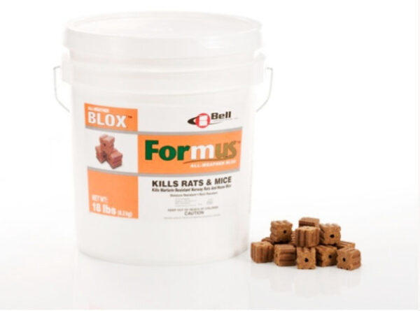 detect termite & pest control experts
