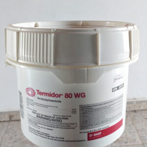 fumigation companies in curacao