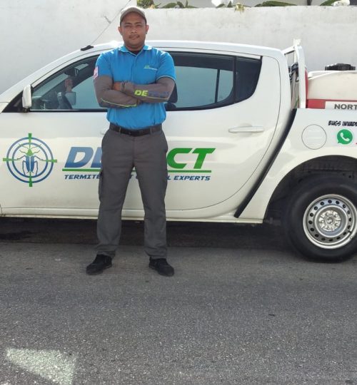 fumigation companies in curacao